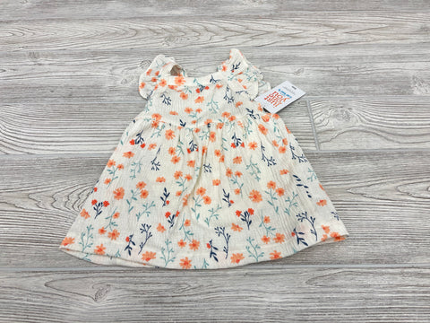 Carter’s Dress with Bloomers