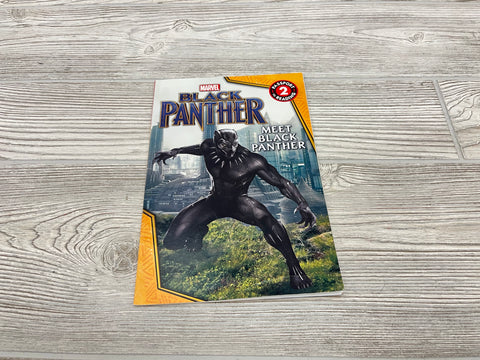 Marvel Black Panther Meet Black Panther