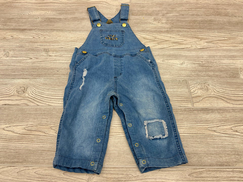 Authentic Brand Iowa Hawkeyes Long Overalls