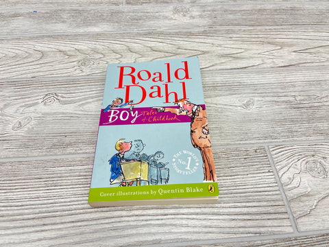 Boy Tales of Childhood