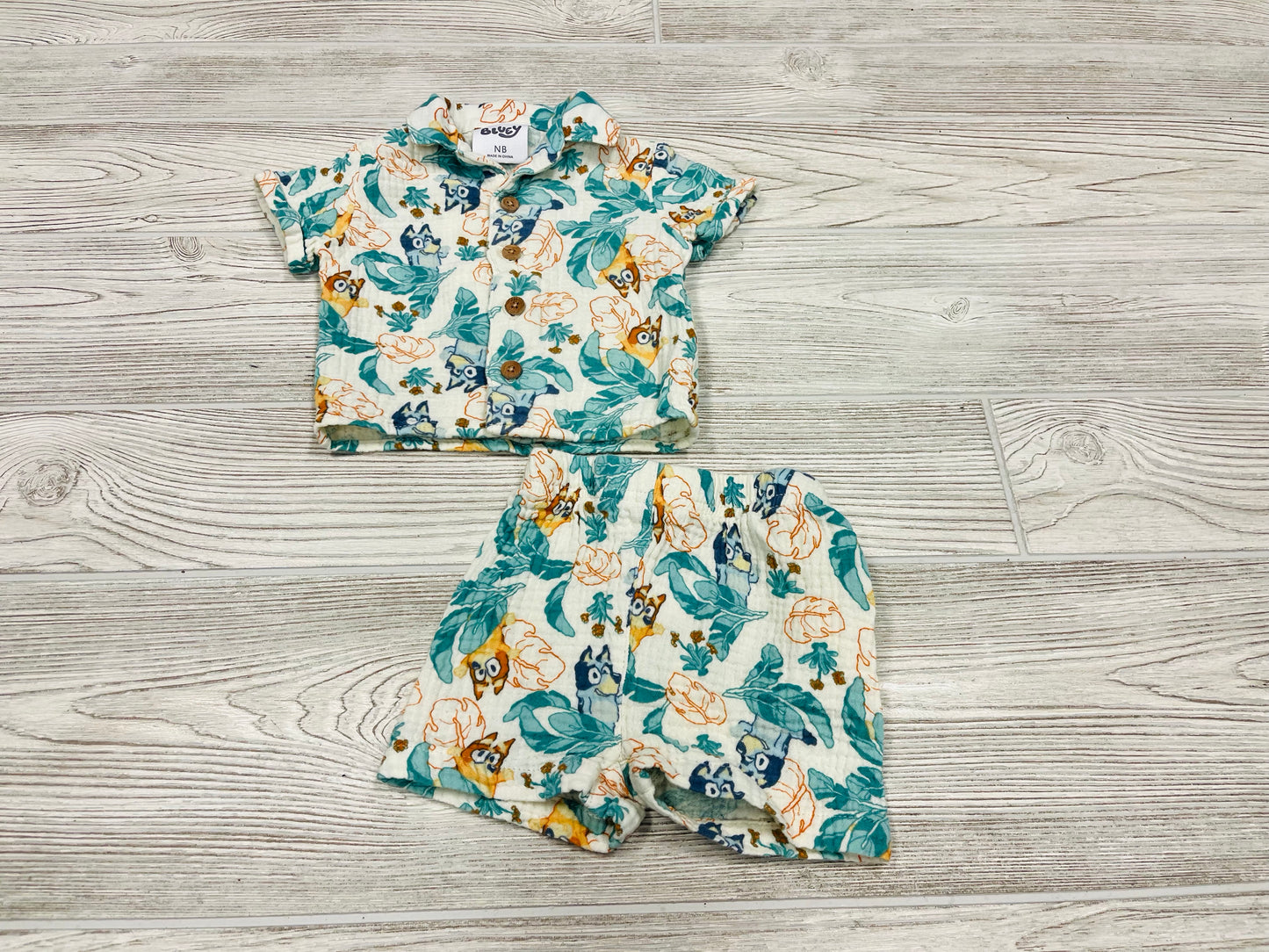 Bluey Outfit
