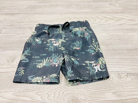 Hurley Swim Trunks