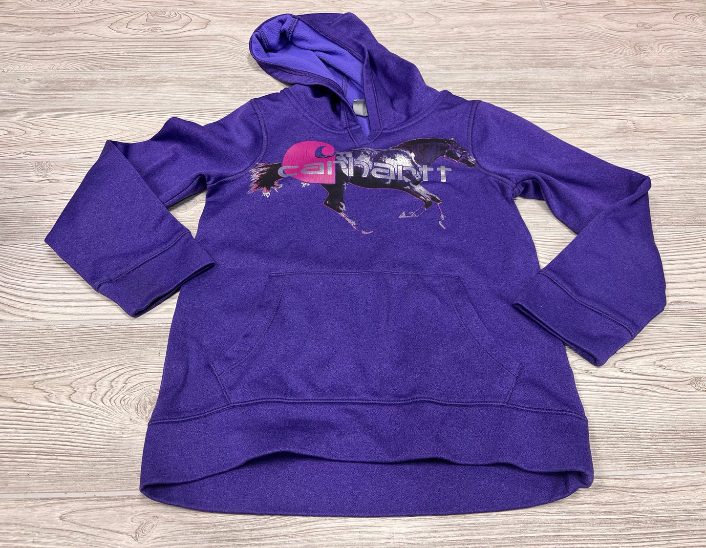 Carhartt Hooded Sweatshirt