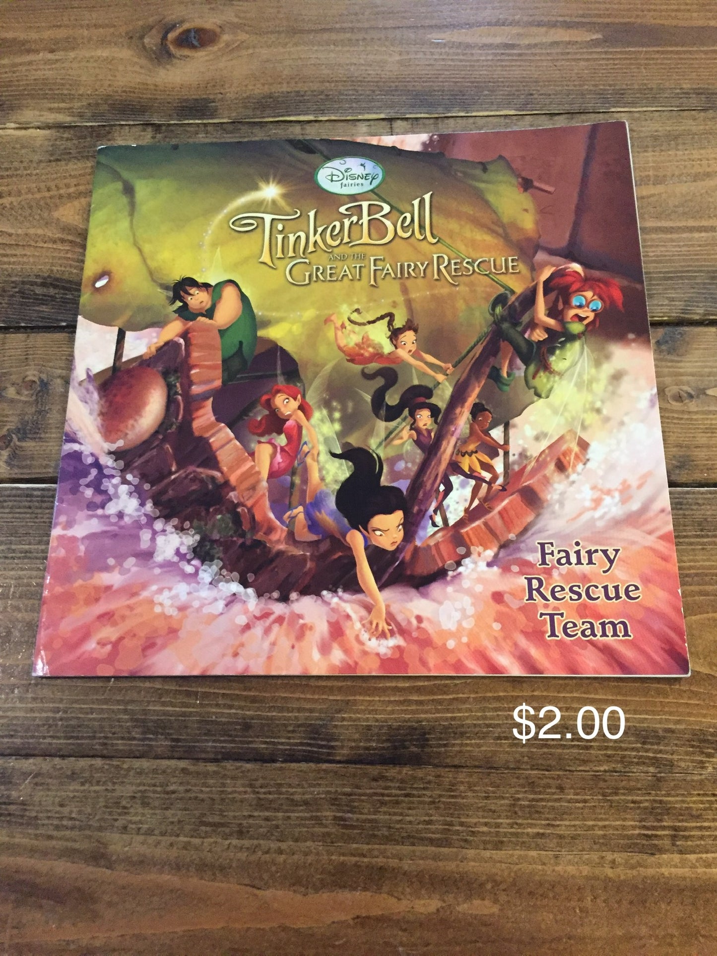 Tinker Bell Great Fairy Rescue - Fairy Rescue Team
